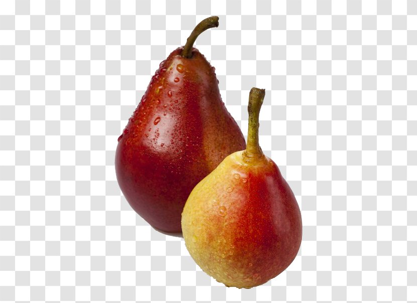 Asian Pear Food Fruit - Pears Transparent PNG