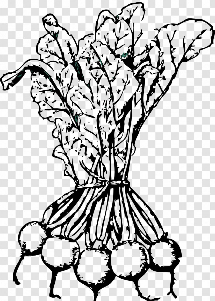 Beetroot Sugar Beet Vegetable Clip Art - Human Behavior - Turnip Transparent PNG