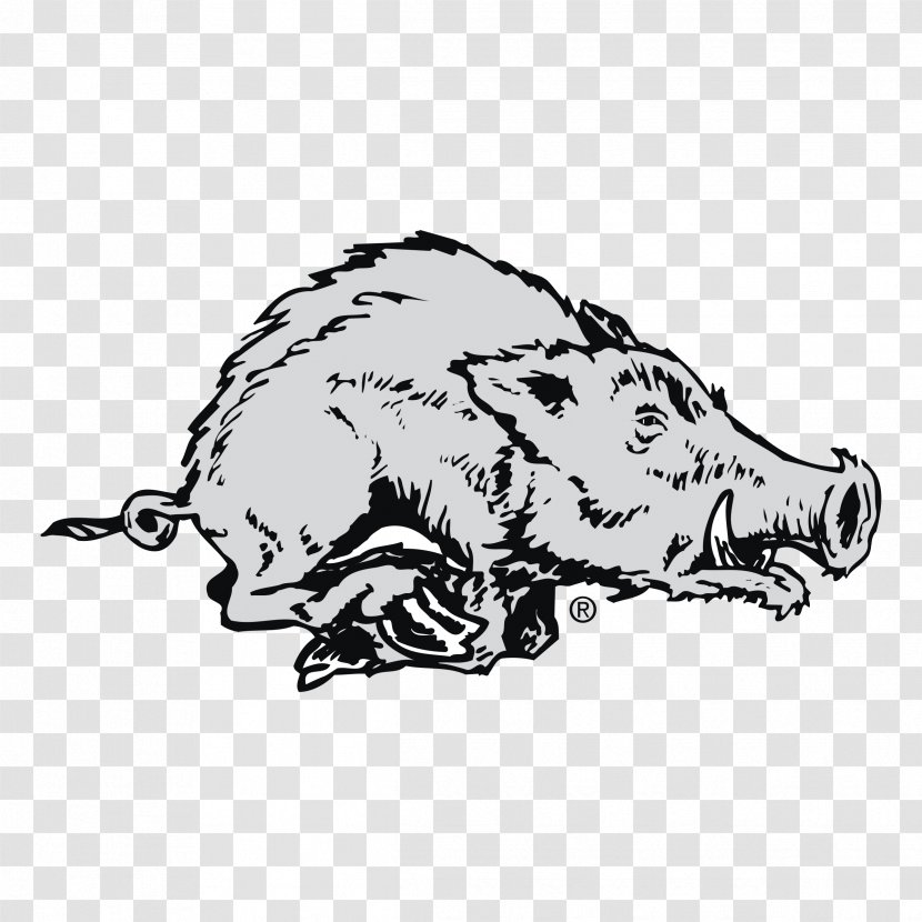 Pig Clip Art University Of Arkansas Razorbacks Football Women's Basketball - Dog Like Mammal Transparent PNG