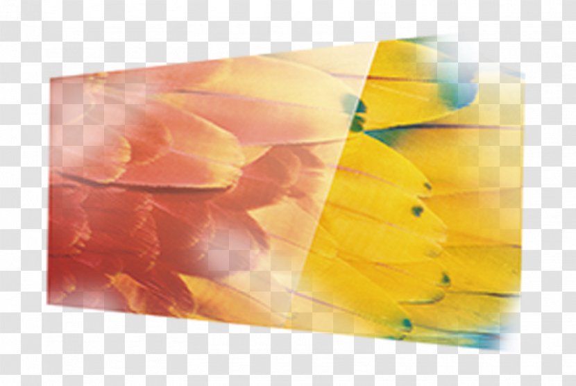 Material Yellow Petal Wallpaper - Banana Transparent PNG