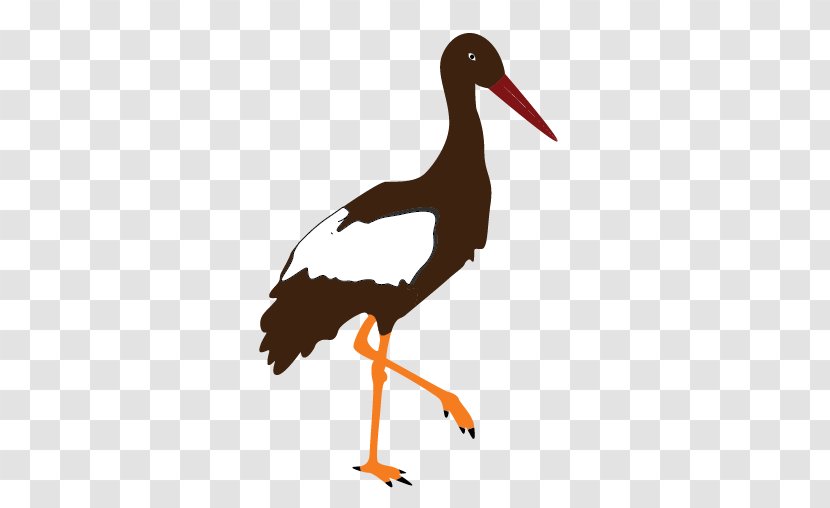 Marabou Stork Clip Art - Seabird - Wader Transparent PNG