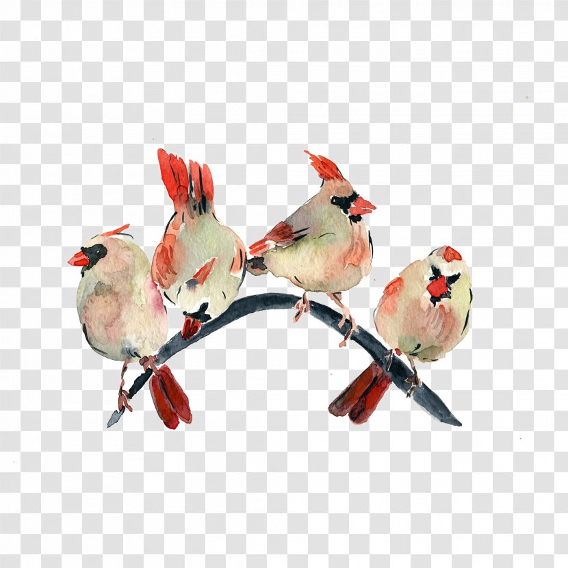 Watercolor Painting - Bird - Free Pull Material Transparent PNG