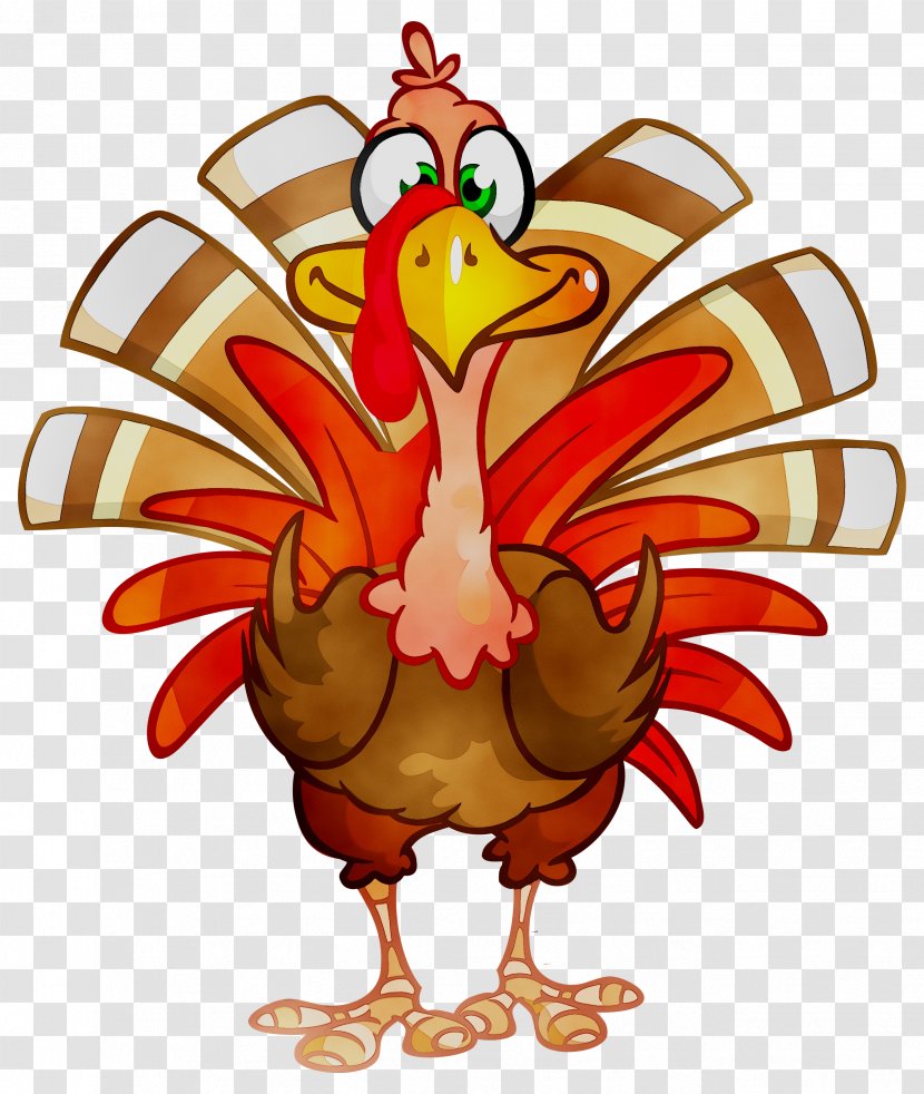 Macy's Thanksgiving Day Parade Turkey Meat Clip Art Vector Graphics - Macys - Bird Transparent PNG