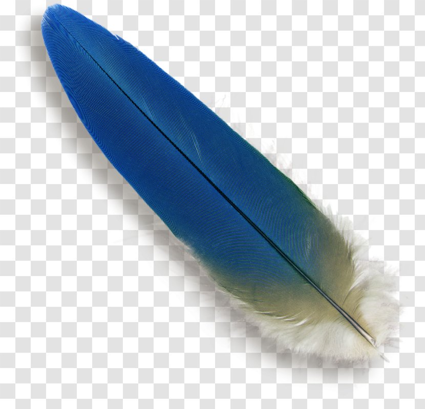 Parrot Bird Feather Macaw Blue - Quill Transparent PNG