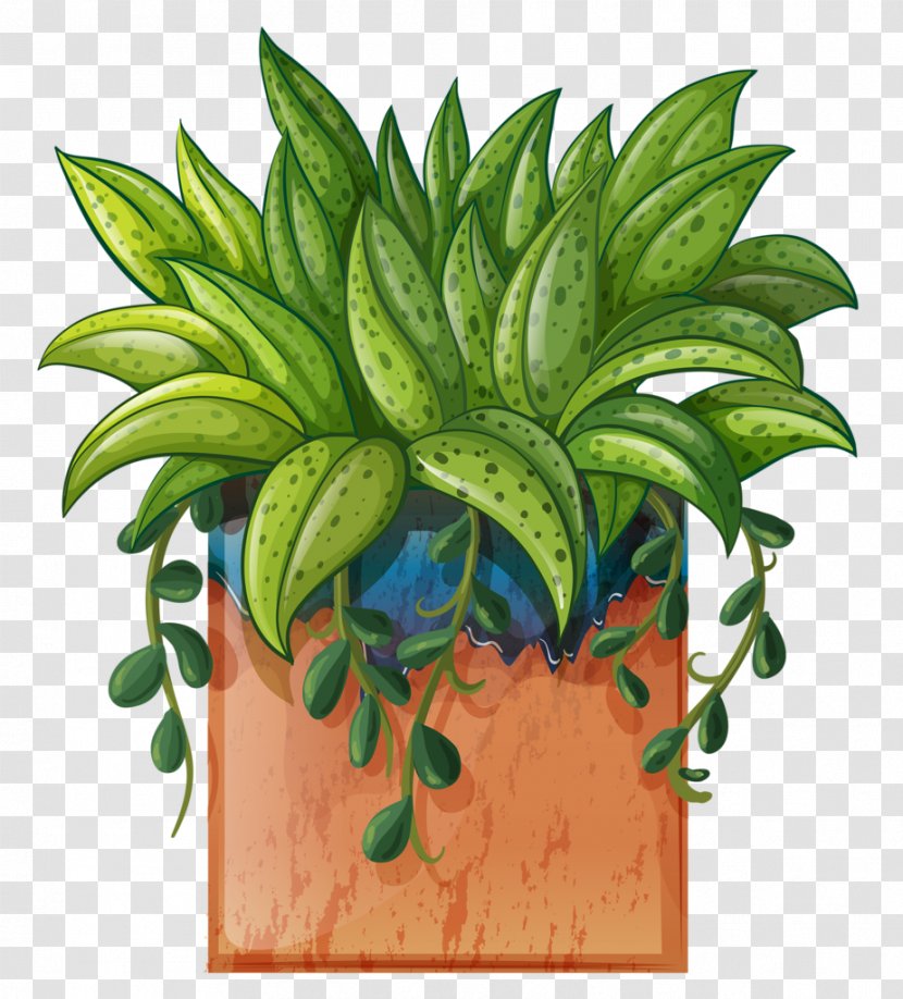 Clip Art Vector Graphics Stock Illustration - Drawing - Plants Environment Plantes Vertes Transparent PNG