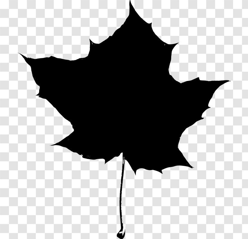 Maple Leaf Silhouette Clip Art - Free Images Transparent PNG