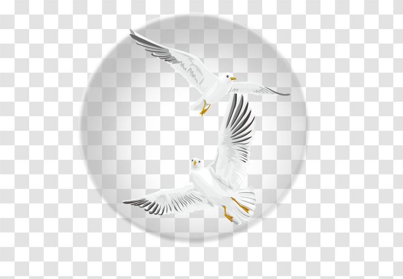 Bird Flight - Bubble Flying Transparent PNG