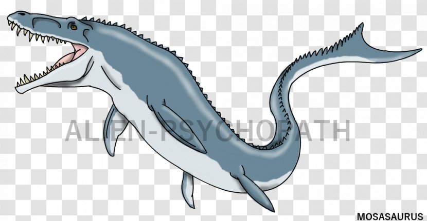 Velociraptor Mosasaurus Mosasaurs Clip Art Dinosaur - Reptile Transparent PNG