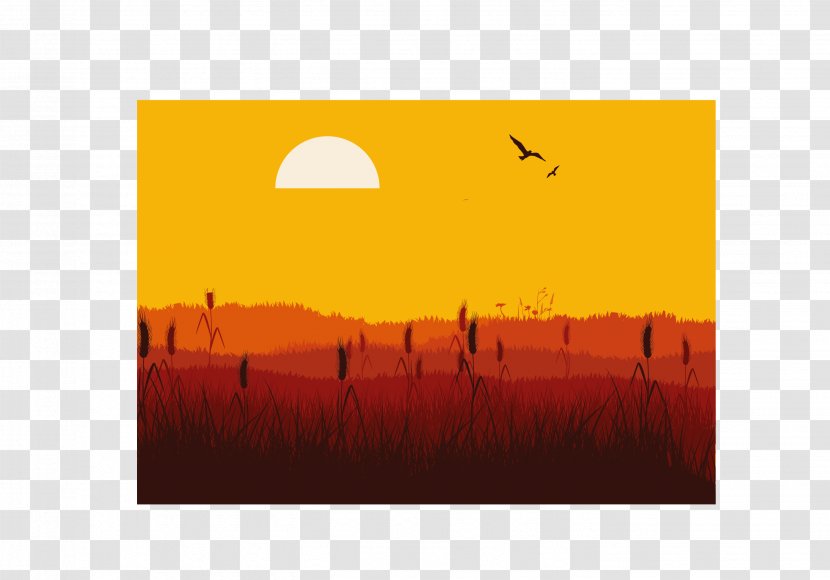 Desert Sunset Scenery - Orange Transparent PNG
