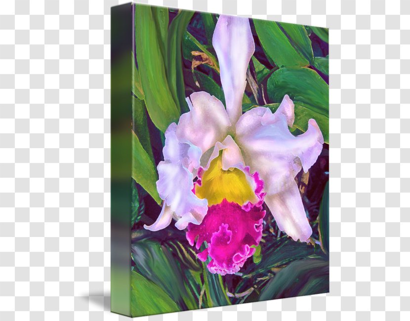 Crimson Cattleya Watercolor Painting Moth Orchids - Magenta - Tropical Orchid Transparent PNG