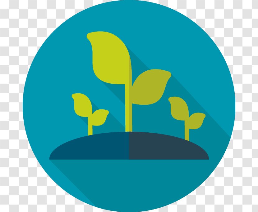 Garden - Drawing - Symbol Transparent PNG