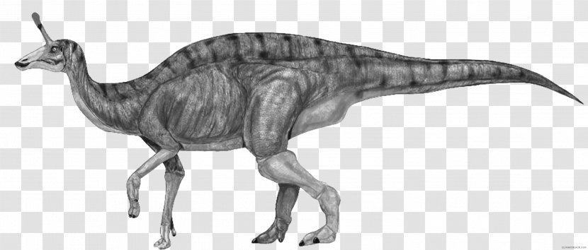 Tsintaosaurus Iguanodontia Corythosaurus Dinosaur Tyrannosaurus - Extinction Transparent PNG