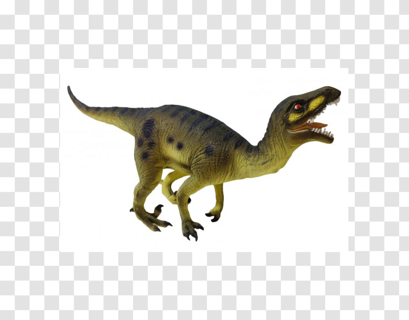 Tarbosaurus Velociraptor Tyrannosaurus Model Figure Dinosaur - Rubber Chicken Transparent PNG