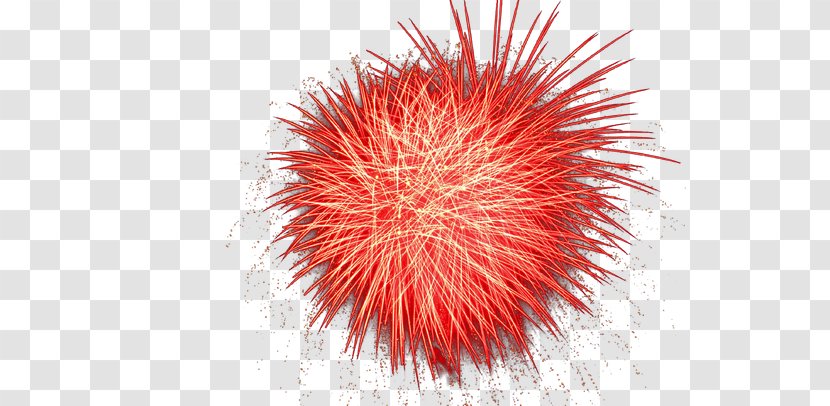 Fireworks & Sparks - Fire - Fireworks,explosion,Colorful Transparent PNG