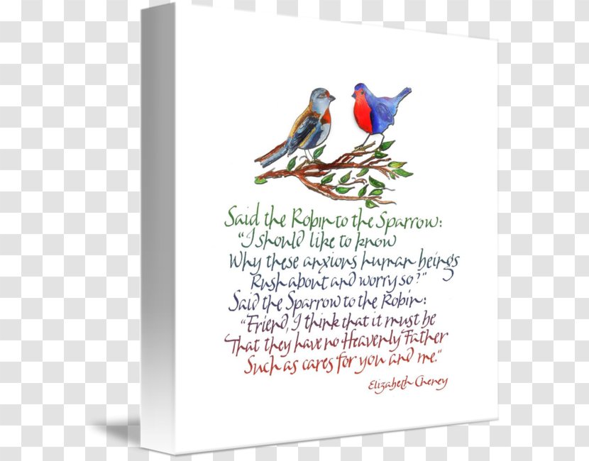 Sparrow Imagekind Poster Greeting & Note Cards Art - Beak Transparent PNG