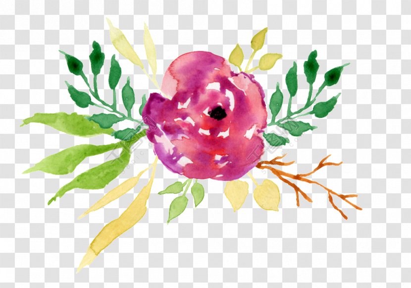 Illustration Design Image Download - Plant - Watercolor Flower Pink Transparent PNG