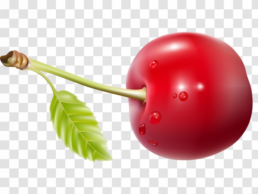 Juice Cherries Barbados Cherry Food Fruit - Tomato Transparent PNG