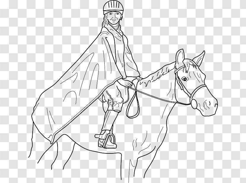 Equestrian Clip Art Vector Graphics Arabian Horse Drawing - Hand - Darwin Line Transparent PNG