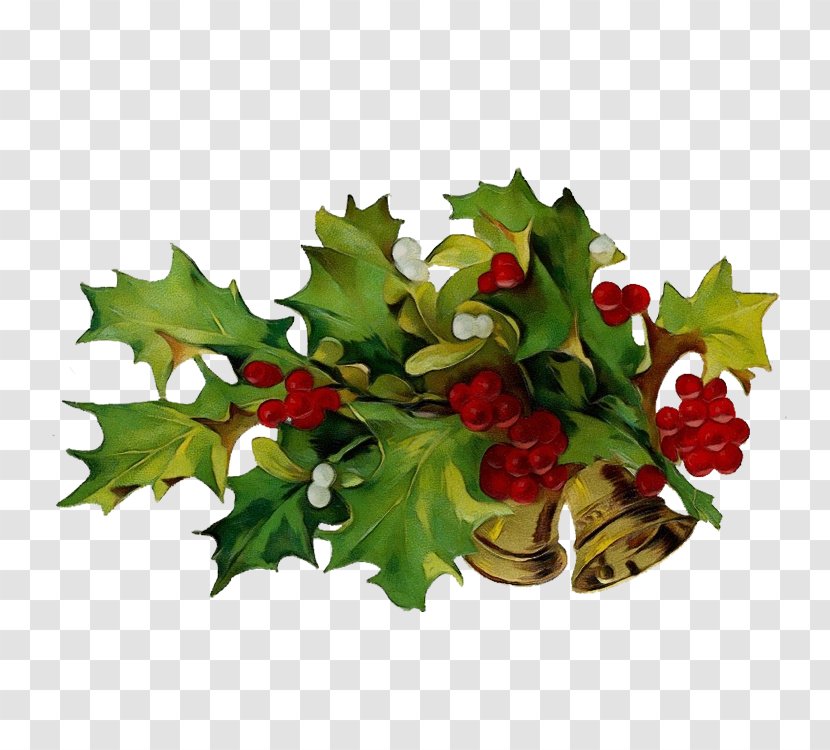 Holly - Hawthorn - Tree Transparent PNG