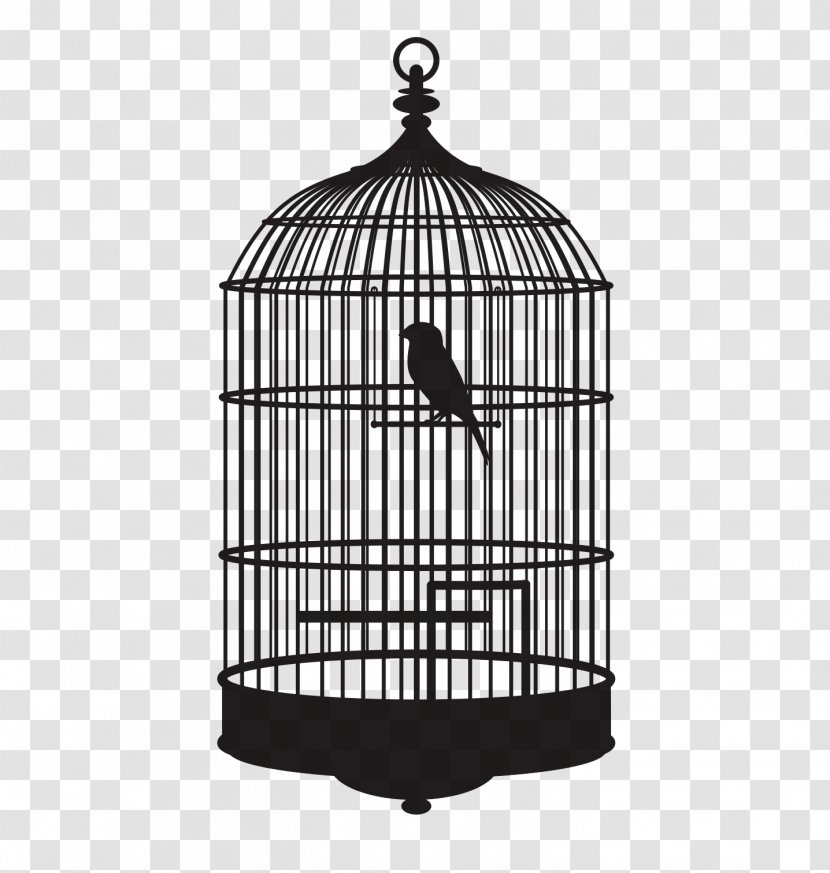 Birdcage - Black And White - Bird Transparent PNG