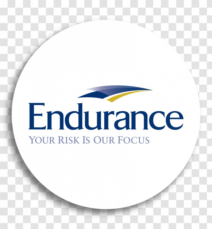 Endurance Specialty Holdings Ltd Insurance Agent American Company Casualty - Chief Executive Transparent PNG