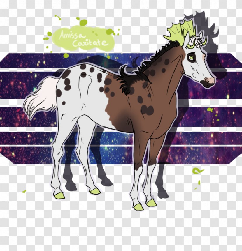 Foal Mare Mustang Stallion Halter Transparent PNG