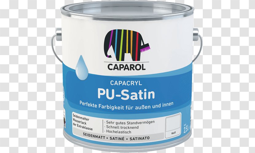 Polyurethane Satin Acrylic Paint Pigment - Plastic Transparent PNG