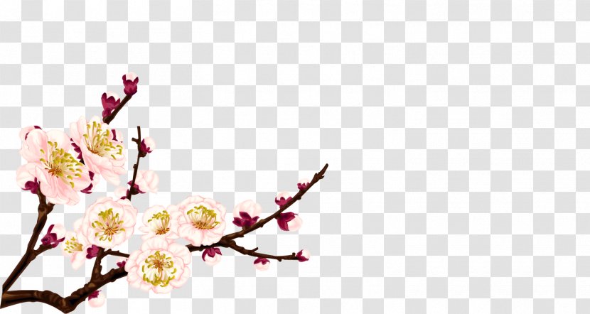 Plum Blossom Flower - Twig - Apricot Transparent PNG