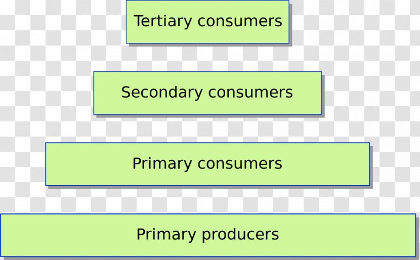 Trophic Level Ecological Pyramid Food Chain Biomass Ecology Transparent PNG