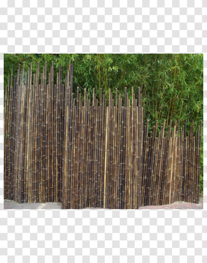 Fence Tropical Woody Bamboos Garden Furniture Phyllostachys Nigra - Wood Flooring Transparent PNG