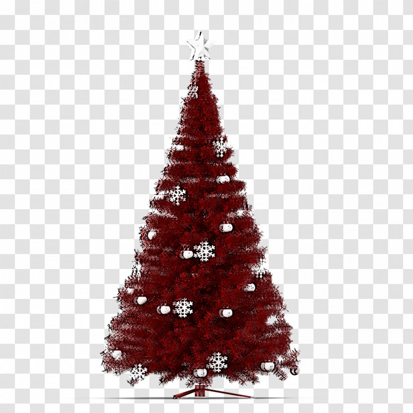Christmas Tree - Ornament - Pine Holiday Transparent PNG