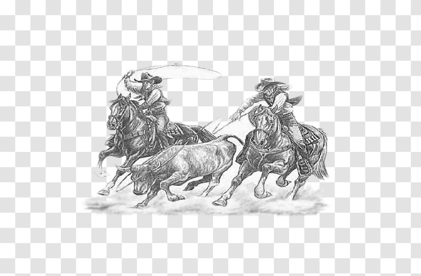 Cattle Calf Roping Drawing Team Rodeo - Cowboy - RODEO Transparent PNG