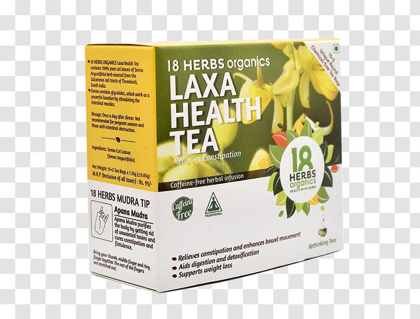 Green Tea Organic Food Herb Drink - Fruit Transparent PNG