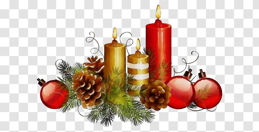 Christmas Tree Watercolor - Candle Holder - Plant Conifer Transparent PNG