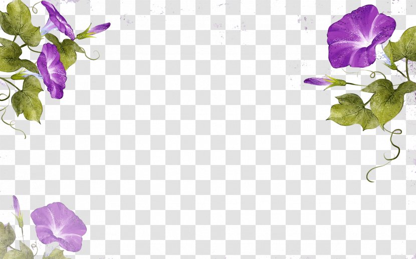 Flower Ipomoea Nil Watercolor Painting Illustration - Purple - Vines Transparent PNG
