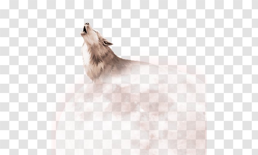 Pomeranian Download - Flooring - The Wolf And Moon Transparent PNG