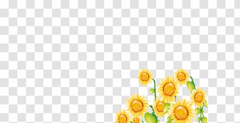 Floral Design Yellow Petal Flower Pattern - Arranging - Sunflower Transparent PNG