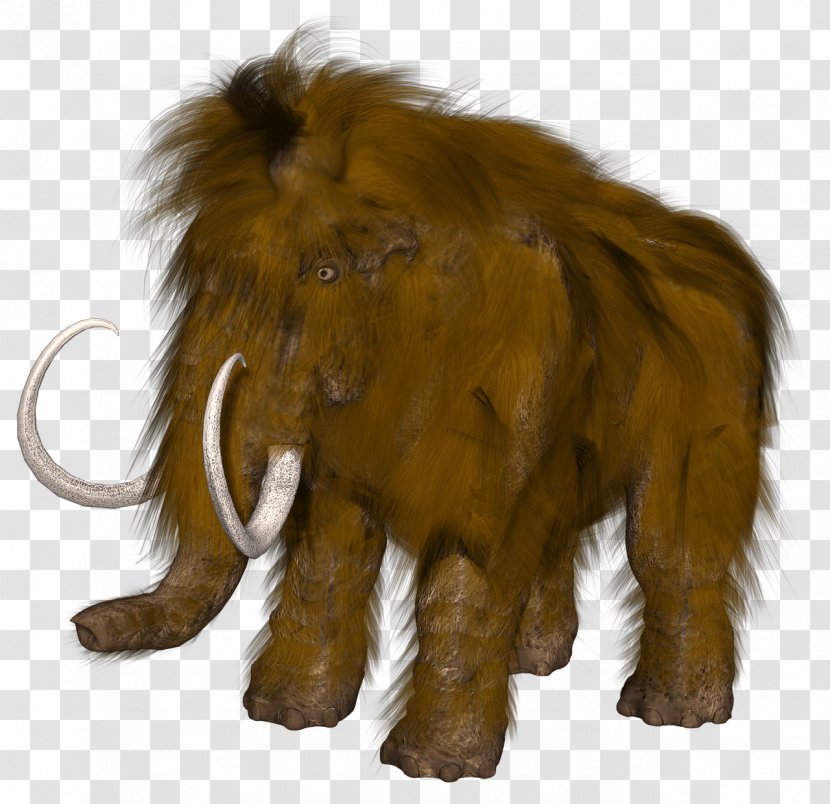 Wrangel Island Woolly Mammoth Nur Mal Schnell Das Mammut Retten Last Glacial Period Extinction - Ice Age Transparent PNG