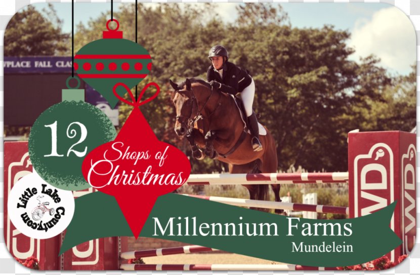 Horse Advertising Christmas Brand - Like Mammal Transparent PNG