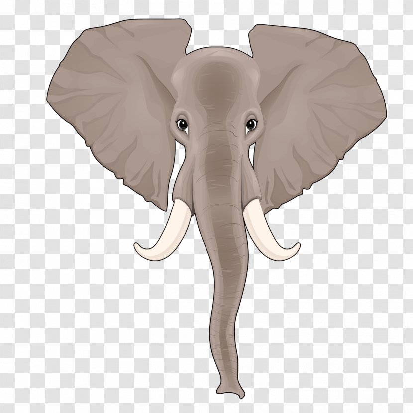 Indian Elephant African Nose - Animal - Vector Long Like Transparent PNG