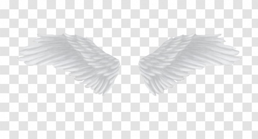 White Angle - Monochrome Photography Transparent PNG
