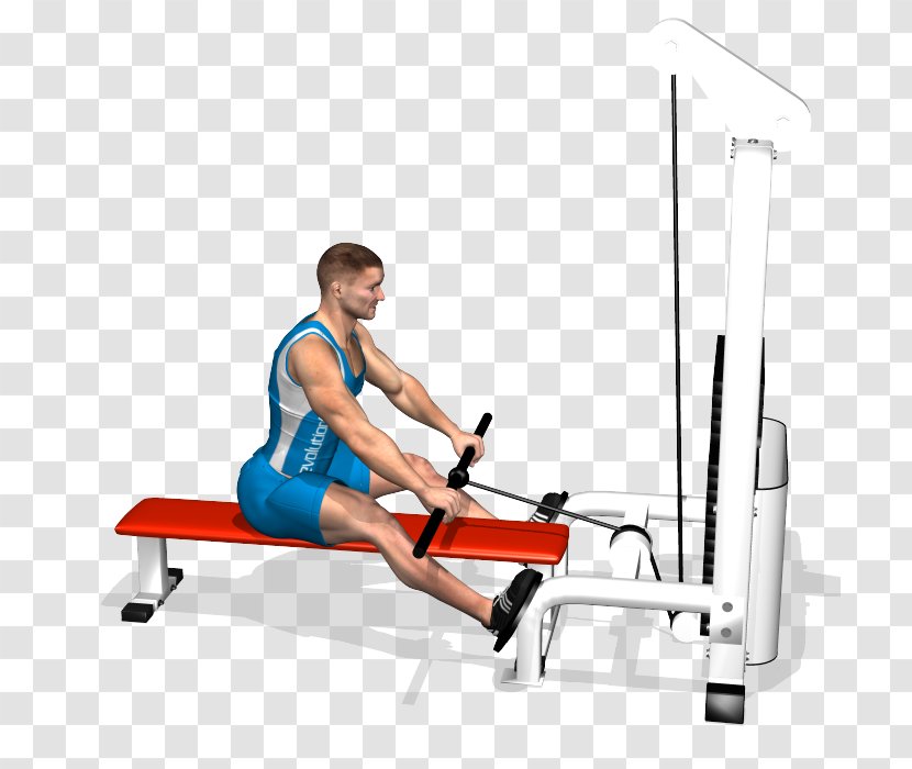 Exercise Fitness Centre Bent-over Row Muscle - Watercolor - Totem Transparent PNG