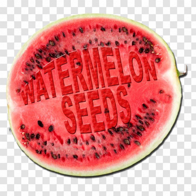 Watermelon Honeydew Cucumber Cucurbitaceae - Gourd And Melon Family - Sign Transparent PNG