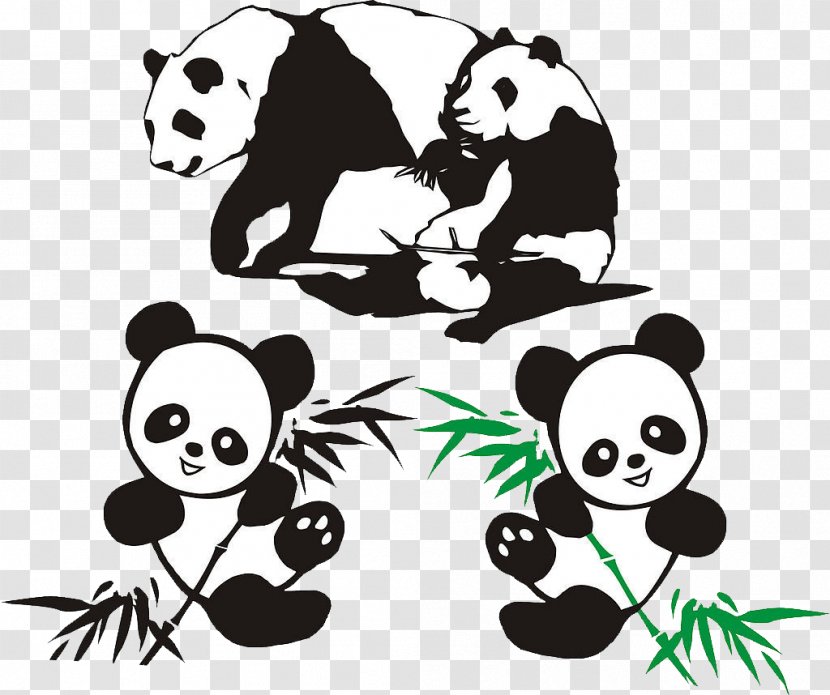 Giant Panda Red Bamboo - Art - Eating Transparent PNG