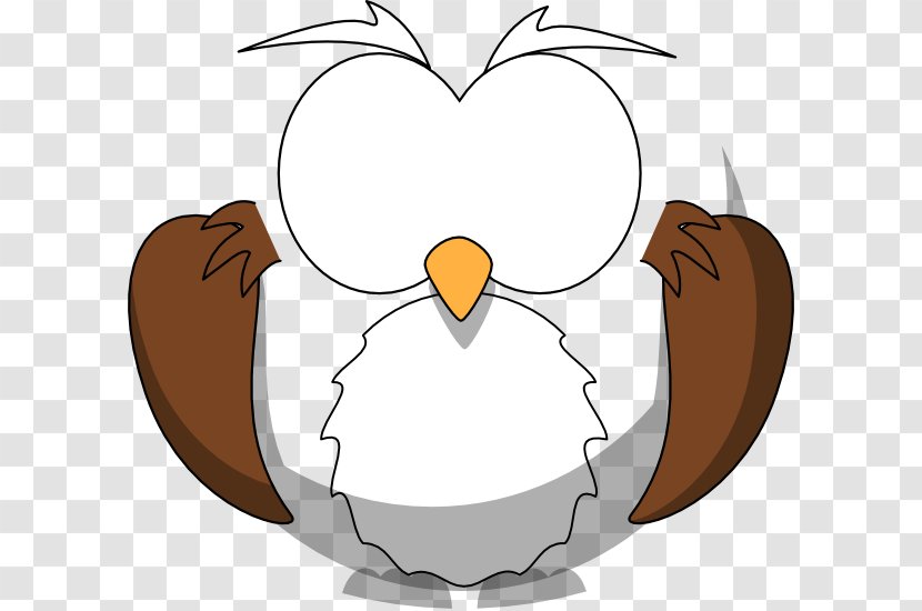 Little Owl Clip Art - Drawing - Buho Vector Transparent PNG