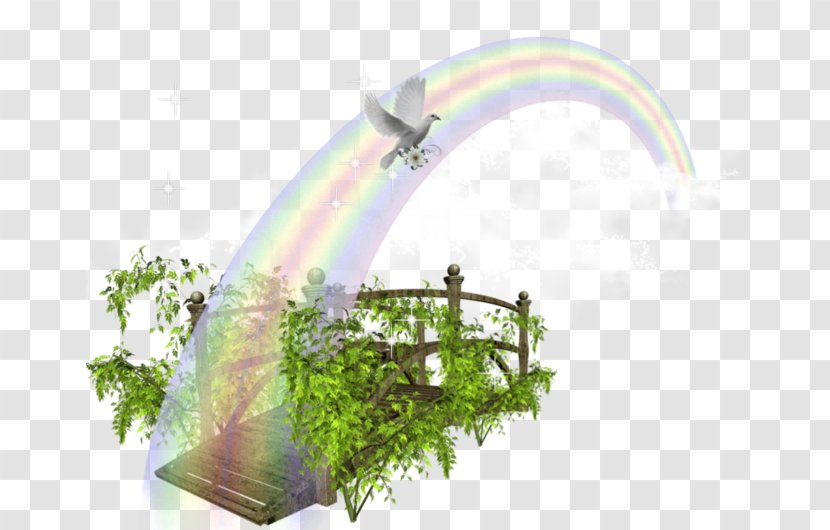 Bridge - Grass - Rainbow Transparent PNG