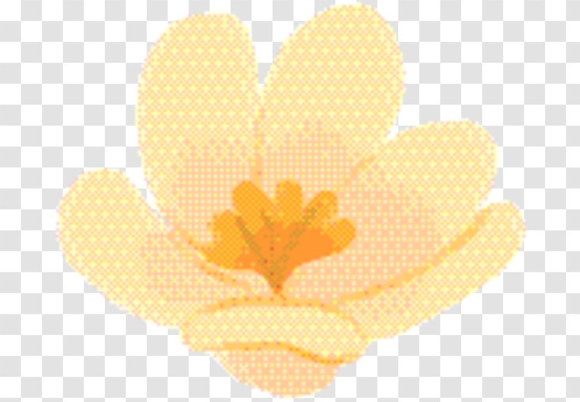 Magnolia Flower - Family Transparent PNG