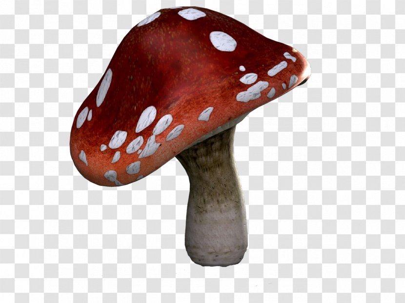 Mushroom Agaric Ceramic Fungus Transparent PNG