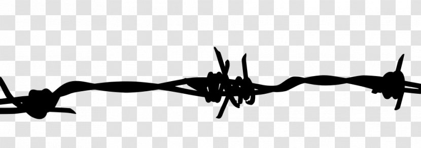 Barbed Wire Clip Art - Fencing Transparent PNG