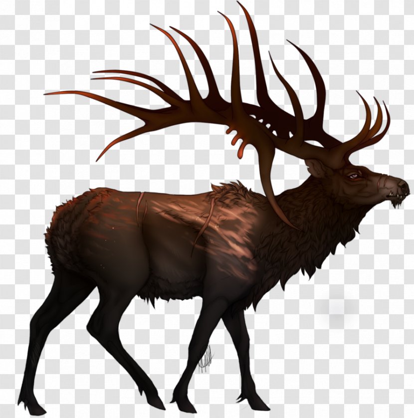 Elk Cattle Reindeer Mammal Wildlife Transparent PNG